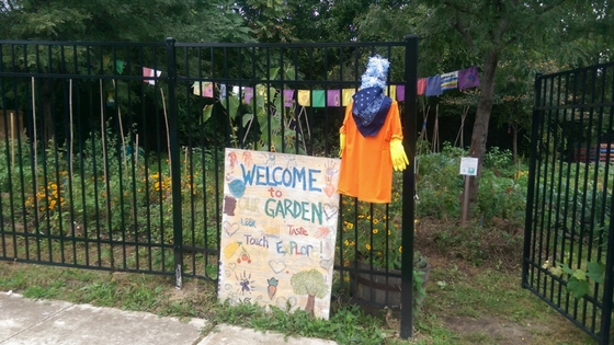 One Family Illinois Chicago Village garden