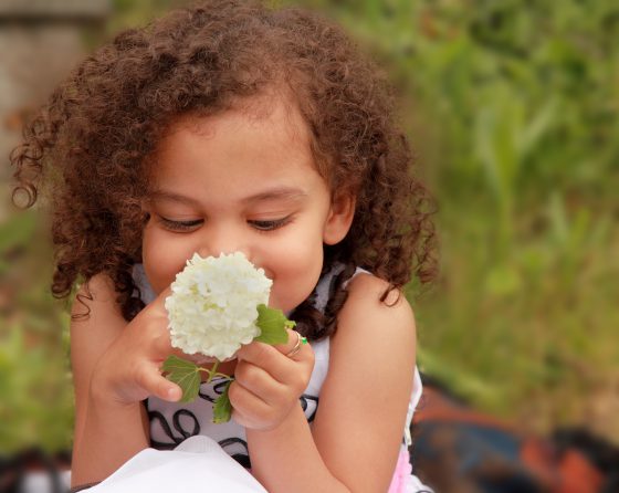 little girl smelling white flower