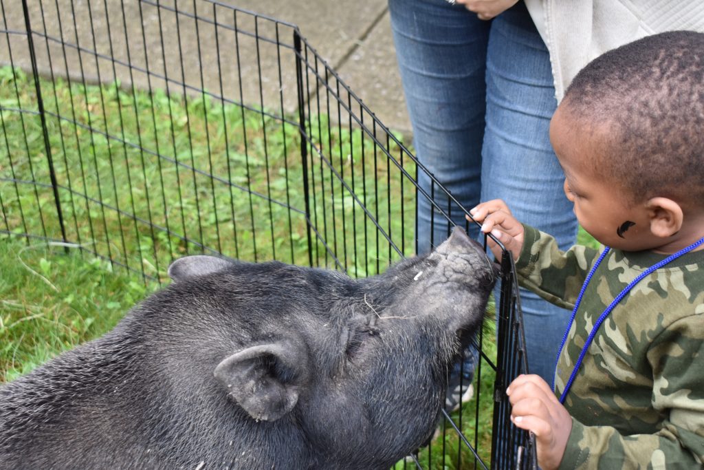 Small child at One Family Illinois enjoys learning about the animals